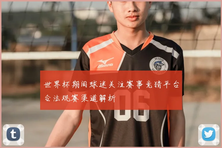 世界杯期间球迷关注赛事竞猜平台合法观赛渠道解析