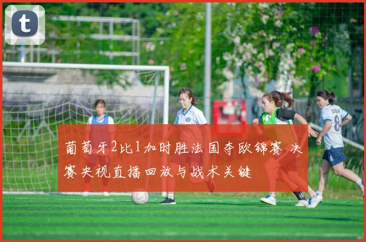 葡萄牙2比1加时胜法国夺欧锦赛 决赛央视直播回放与战术关键
